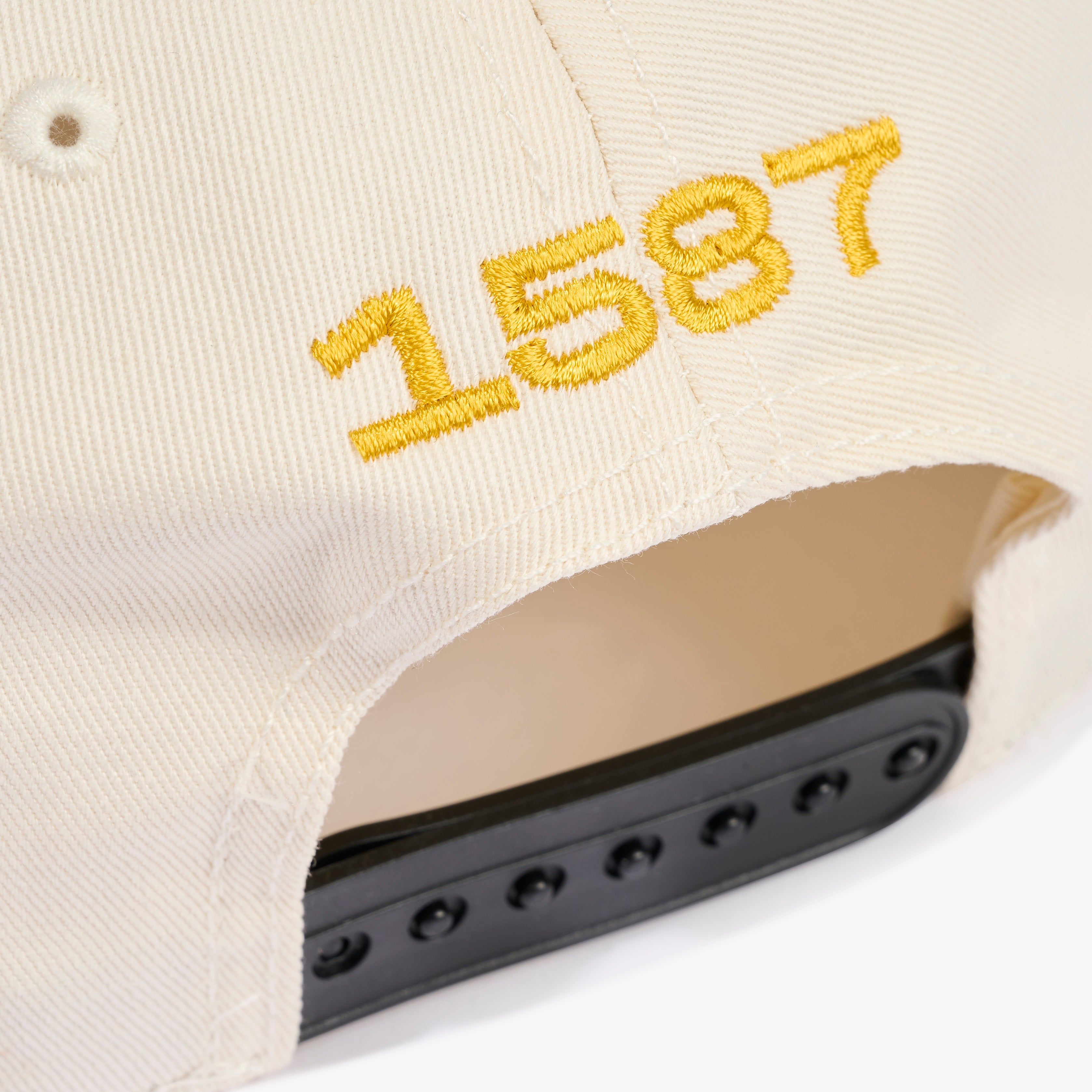 1587 X Leo Chan